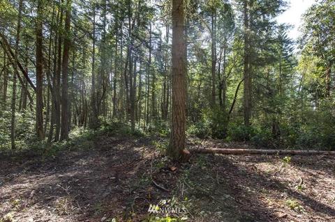 471 Heron Hill Rd, Sequim, WA 98382 photo 16