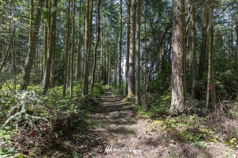 471 Heron Hill Rd, Sequim, WA 98382 photo 27