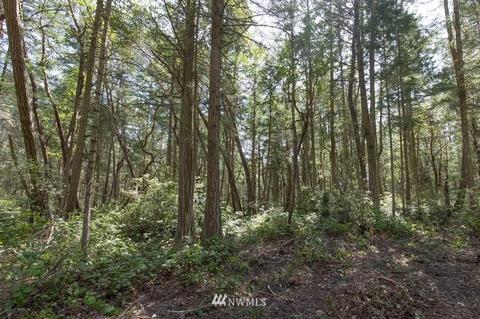 471 Heron Hill Rd, Sequim, WA 98382 photo 15