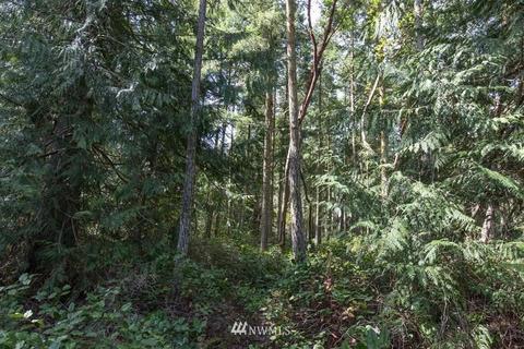 471 Heron Hill Rd, Sequim, WA 98382 photo 34