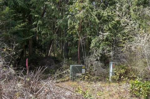 471 Heron Hill Rd, Sequim, WA 98382 photo 23