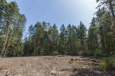 471 Heron Hill Rd, Sequim, WA 98382 photo 17
