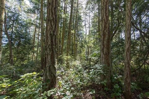 471 Heron Hill Rd, Sequim, WA 98382 photo 29