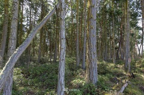 471 Heron Hill Rd, Sequim, WA 98382 photo 24