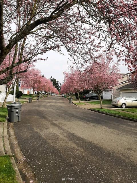 2819 99th Pl SE, Everett, WA 98208 photo 32