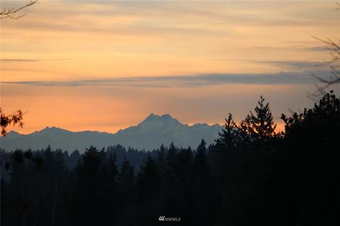 20104 103rd Pl NE, Bothell, WA 98011 photo 39