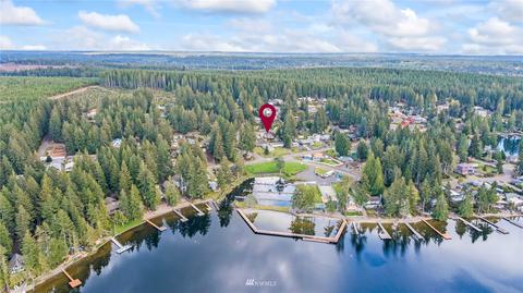 181 E Lakeview Dr, Grapeview, WA 98546 photo 1