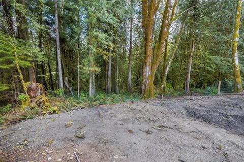 281 E Rasor Rd, Belfair, WA 98528 photo 25