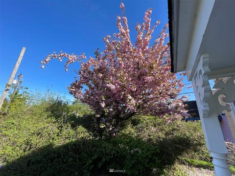 4900 Sequim Dungeness Way, Sequim, WA 98382 photo 4