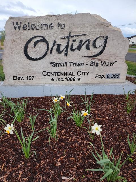 102 River Ave SE, Orting, WA 98360 photo 18