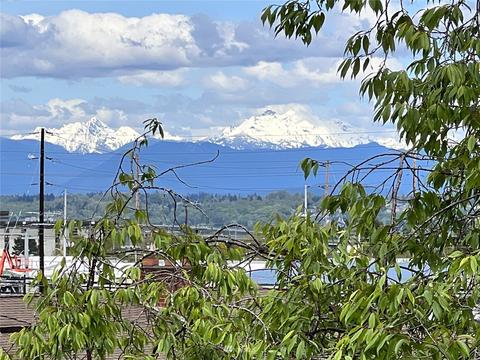 3602 Lombard Ave, Everett, WA 98201 photo 33