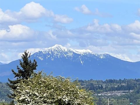 3602 Lombard Ave, Everett, WA 98201 photo 34