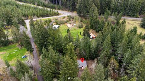 91 E Leffler Ln, Grapeview, WA 98546 photo 26