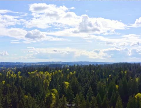 22811 58th Dr SE, Bothell, WA 98021 photo 39