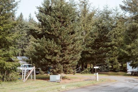 169 Josephine Loop, Onalaska, WA 98570 photo 33