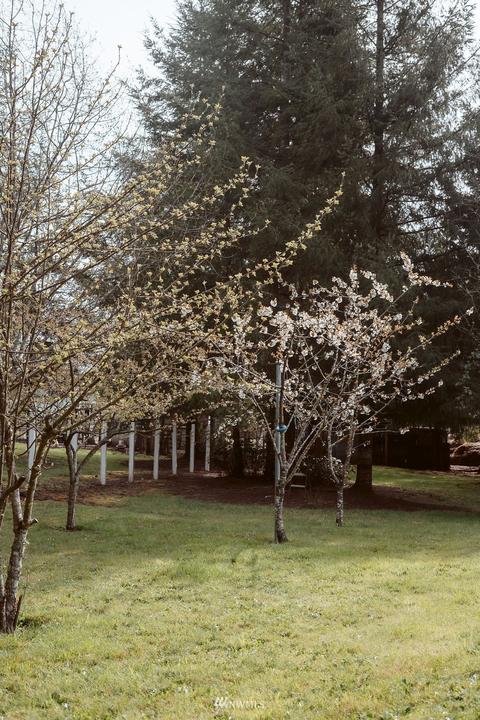 169 Josephine Loop, Onalaska, WA 98570 photo 32