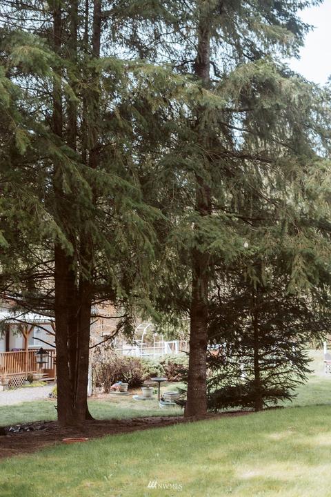 169 Josephine Loop, Onalaska, WA 98570 photo 31