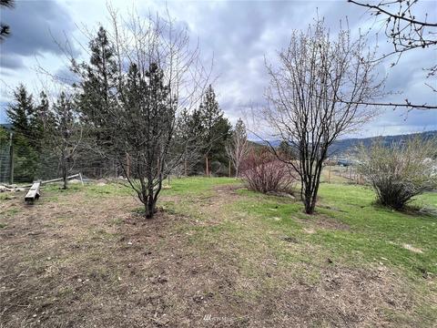111 Springridge Rd, Republic, WA 99166 photo 20