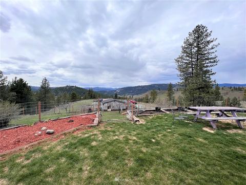 111 Springridge Rd, Republic, WA 99166 photo 19