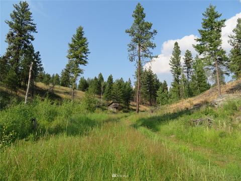 111 Springridge Rd, Republic, WA 99166 photo 31