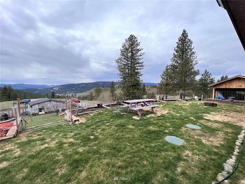 111 Springridge Rd, Republic, WA 99166 photo 26