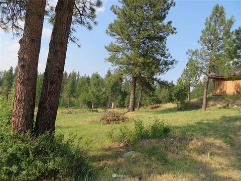 111 Springridge Rd, Republic, WA 99166 photo 29
