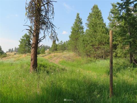 111 Springridge Rd, Republic, WA 99166 photo 33