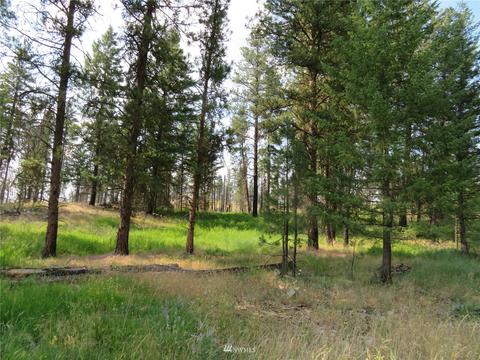 111 Springridge Rd, Republic, WA 99166 photo 30