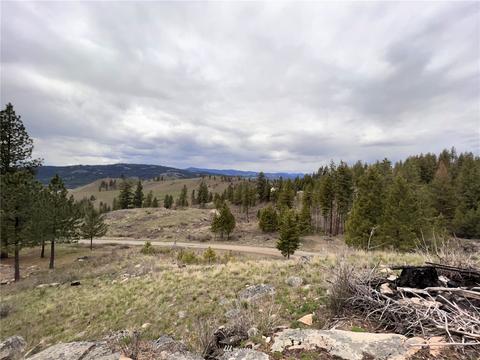 111 Springridge Rd, Republic, WA 99166 photo 37