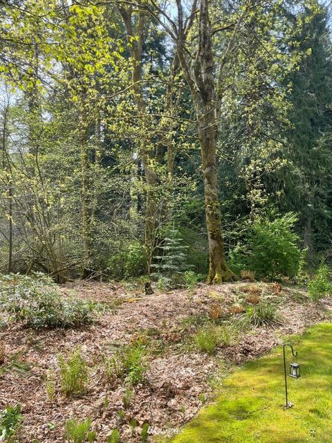 23232 53rd Ave SE, Bothell, WA 98021 photo 7