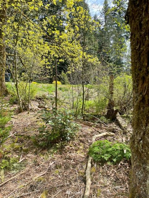 23232 53rd Ave SE, Bothell, WA 98021 photo 6