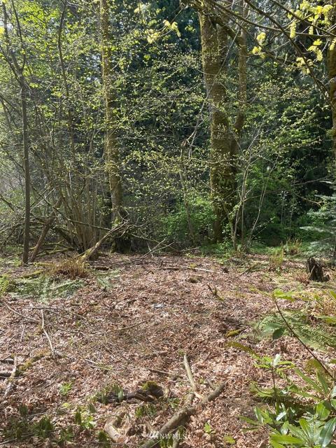 23232 53rd Ave SE, Bothell, WA 98021 photo 1