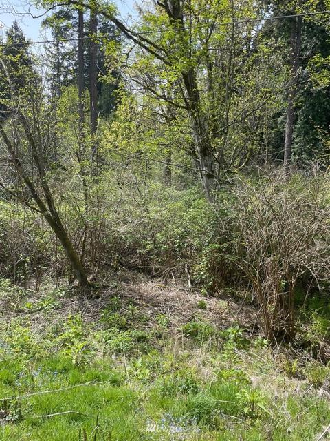 23232 53rd Ave SE, Bothell, WA 98021 photo 4