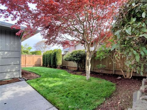 6708 Morgan Rd, Everett, WA 98203 photo 34