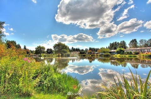 23627 Lake Dr E, Bothell, WA 98021 photo 36