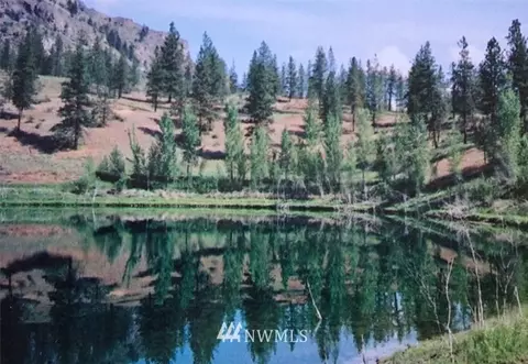 8 Lot Crumbacher Lake Rd, Tonasket, WA 98855