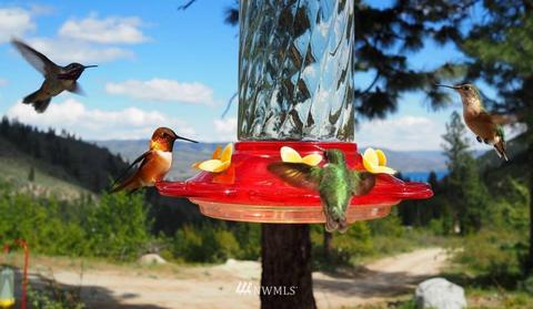 369 Strada Della Vis, Chelan, WA 98816 photo 30