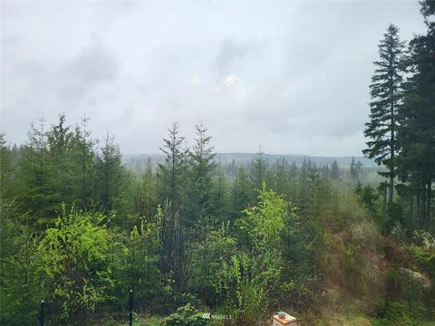 80 E Harley Dr, Grapeview, WA 98546 photo 4
