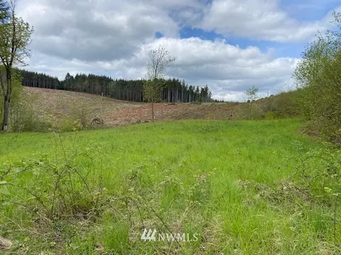 0 Buckhorn Rd, Winlock, WA 98596
