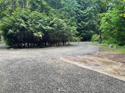 30 Elk Ct E, Brinnon, WA 98320 photo 40