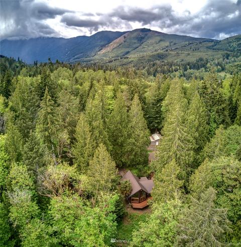 30 Elk Ct E, Brinnon, WA 98320 photo 1