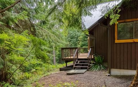 30 Elk Ct E, Brinnon, WA 98320 photo 25