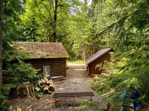 30 Elk Ct E, Brinnon, WA 98320 photo 34