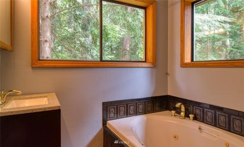 30 Elk Ct E, Brinnon, WA 98320 photo 18