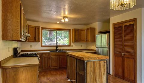 30 Elk Ct E, Brinnon, WA 98320 photo 15