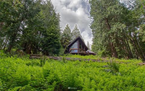 30 Elk Ct E, Brinnon, WA 98320 photo 9