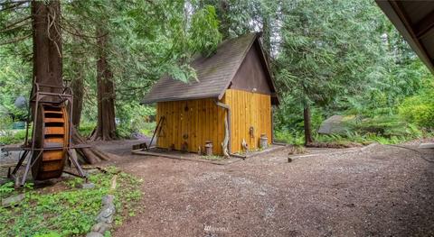30 Elk Ct E, Brinnon, WA 98320 photo 29