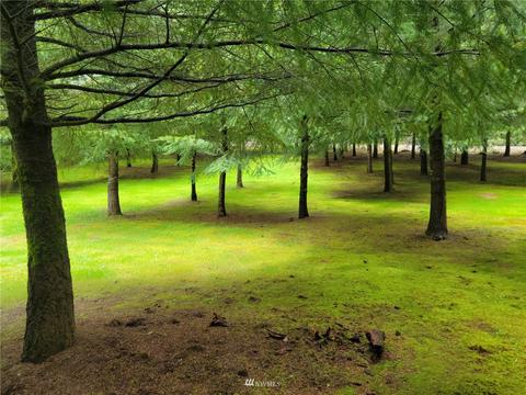 231 Monroe Rd, Winlock, WA 98596 photo 6