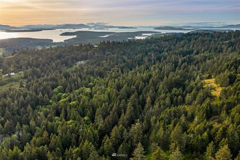 699 Capron Rd, Friday Harbor, WA 98250