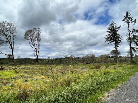 0 Knowles Rd, Winlock, WA 98596 photo 5